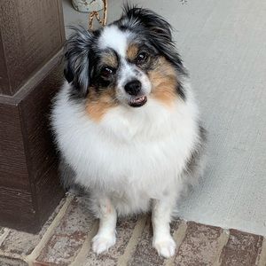 Meet your Posher, Maryanne